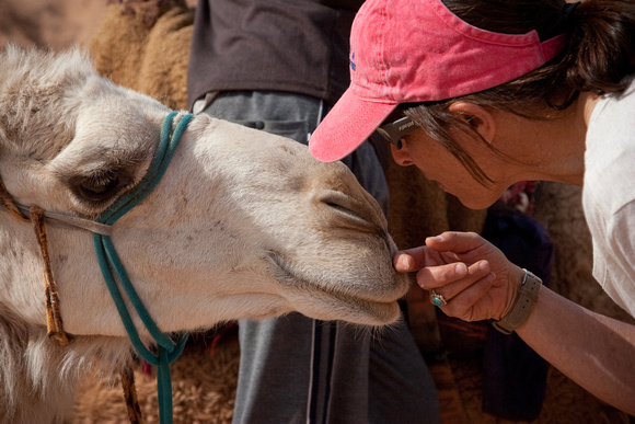 Sharon kisses camel