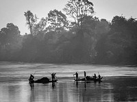 Mote at Angor Wat, Cambodia