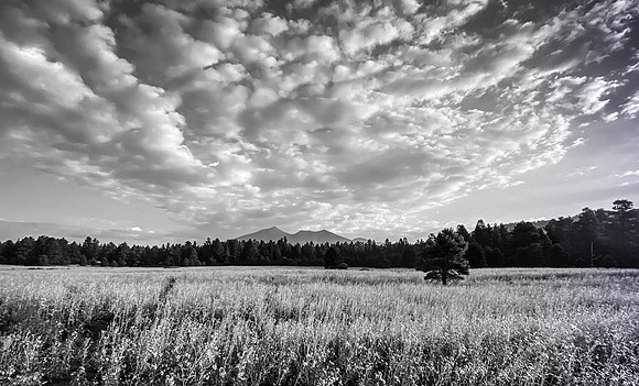 San Francisco Peaks, Flagstaff, Arizona